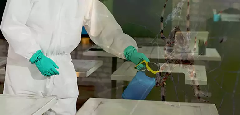 Why Buyers Still Want Homes With Pest Infestations in Staten Island, NY?